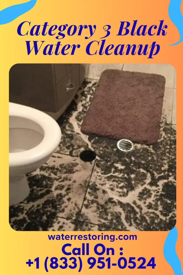 Category 3 Black Water Cleanup in Park Ridge, NJ