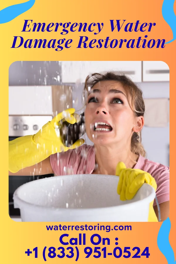 Emergency Water Damage Restoration in Park Ridge, NJ