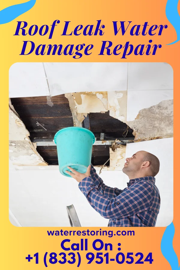 Roof Leak Water Damage Repair in Park Ridge, NJ